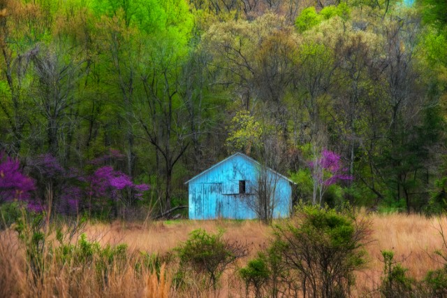 Image of Springtime at the Pennyrile by Barbara Harris from Louisville